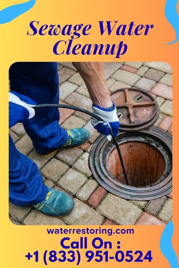 Sewage Water Cleanup in Jasonville, IN