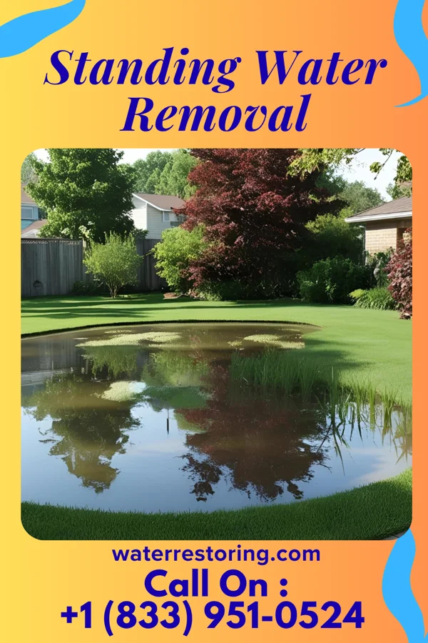 Standing Water Removal in Jasonville, IN